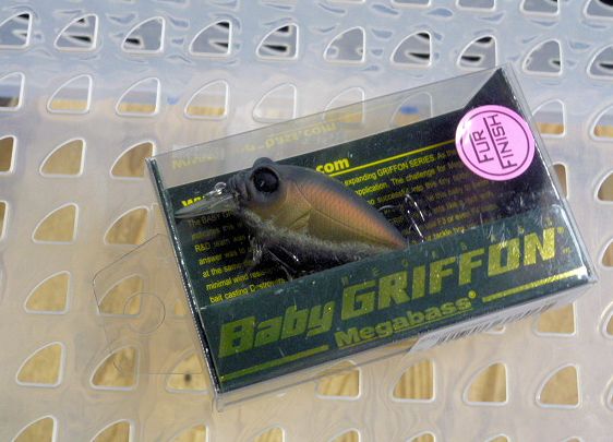 BABY GRIFFON FF Yago BABY GRIFFON FF Yago
