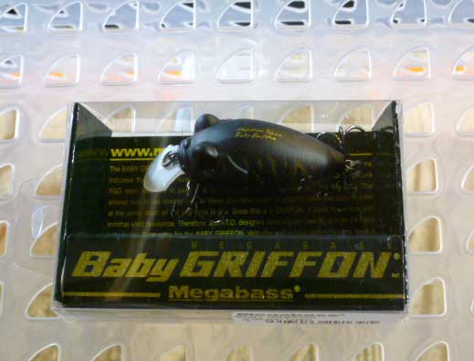 BABY GRIFFON SHIBUKIN TIGER BABY GRIFFON SHIBUKIN TIGER