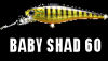 BABY SHAD 60