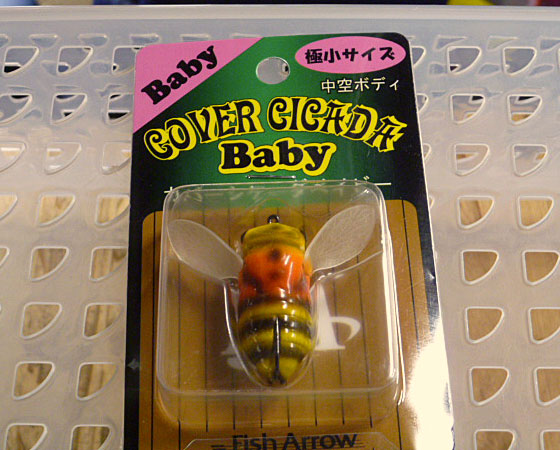 Cover Cicada Baby Honey Bee