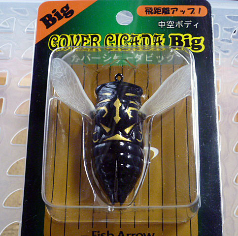 Cover Cicada Big Black Cicada