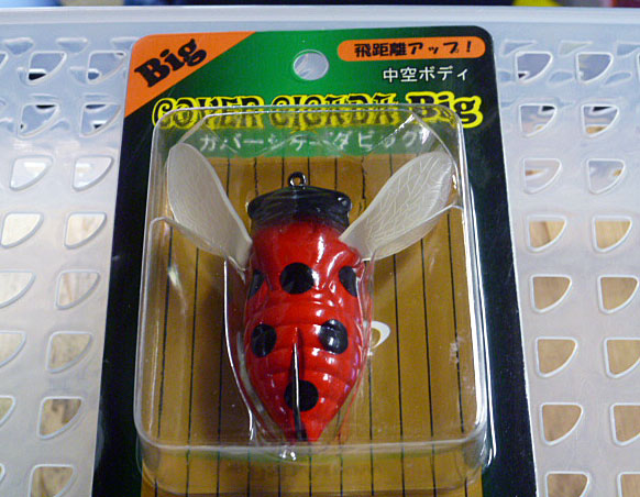 Cover Cicada Big Lady Bug