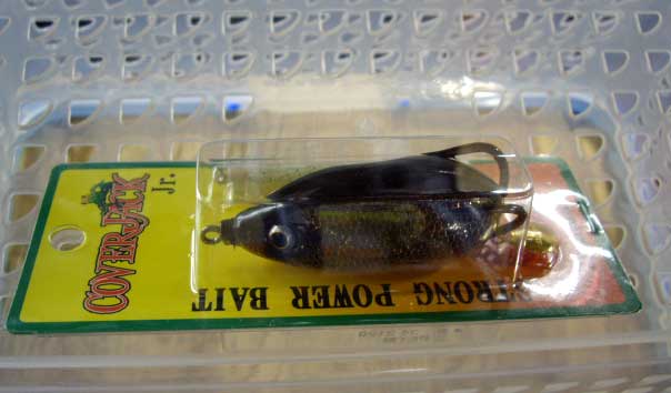 Cover Jack Jr. Golden Shinner Cover Jack Jr. Golden Shinner
