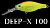 DEEP-X 100