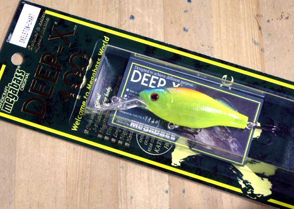 DEEP-X 100 SKELETON CHART DEEP-X 100 SKELETON CHART