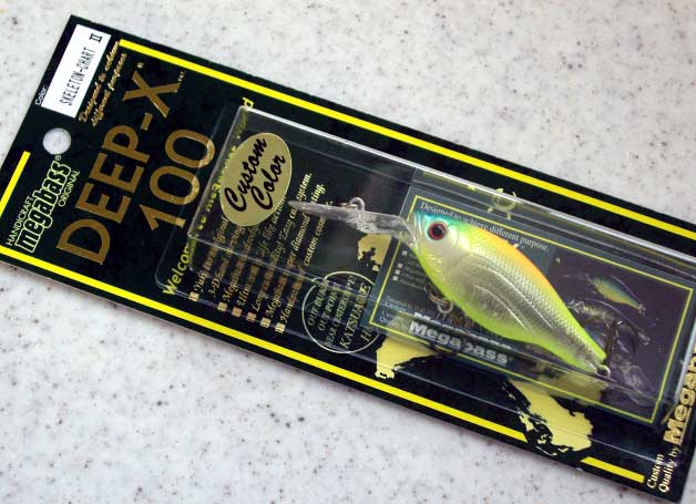 DEEP-X 100 SKELETON CHART 2 DEEP-X 100 SKELETON CHART 2