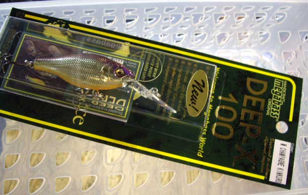 DEEP-X 100 M Champagne Kinkuro DEEP-X 100 M Champagne Kinkuro