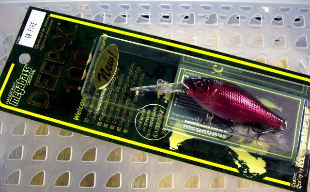 DEEP-X 100 GW FIRE DEEP-X 100 GW FIRE