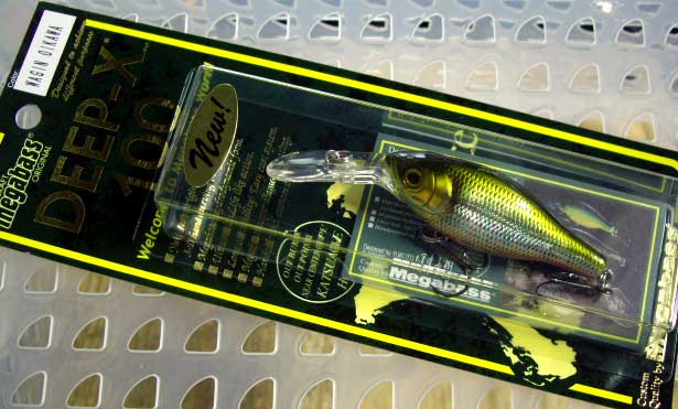 DEEP-X 100 WAGIN OIKAWA DEEP-X 100 WAGIN OIKAWA