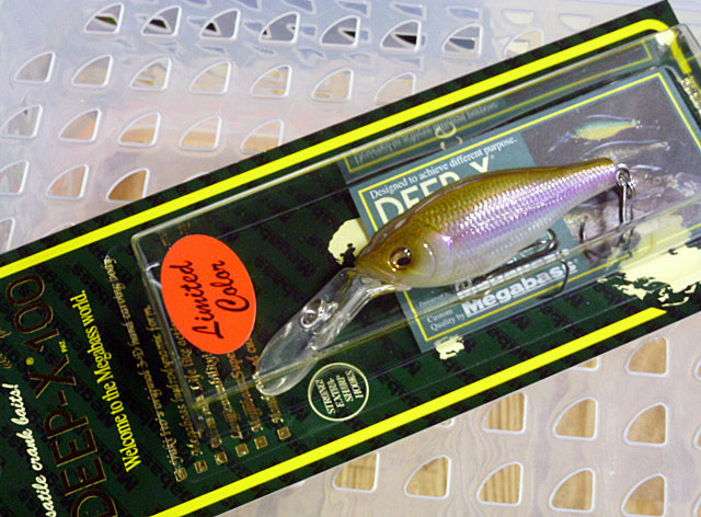 DEEP-X 100 Takataki Deep Wakasagi DEEP-X 100 Takataki Deep Wakasagi