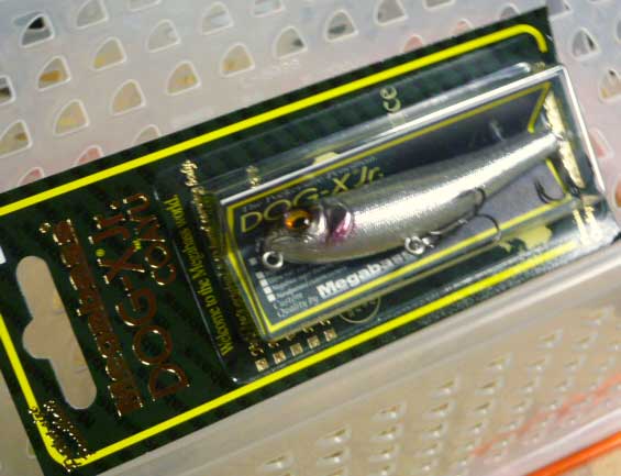 DOG-X Jr. COAYU GLX Secret Flasher DOG-X Jr. COAYU GLX Secret Flasher
