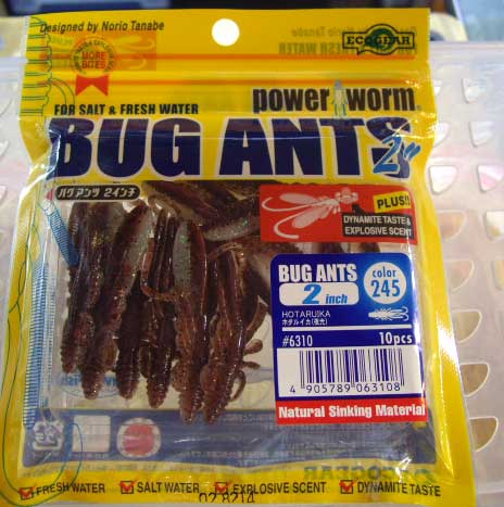 BUG ANTS 2inch 245:Hotaru Squid