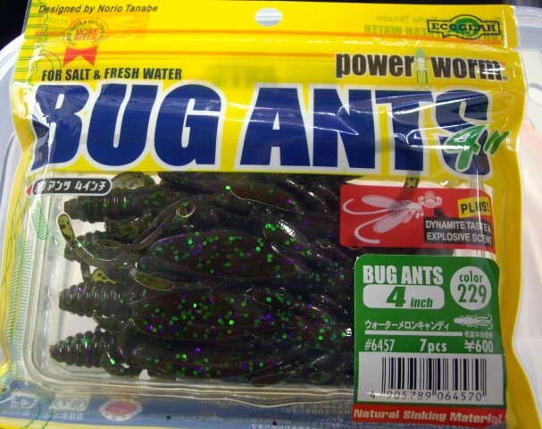 candy ants