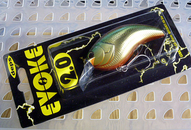EVOKE 2.0 Golden Shinner - Click Image to Close