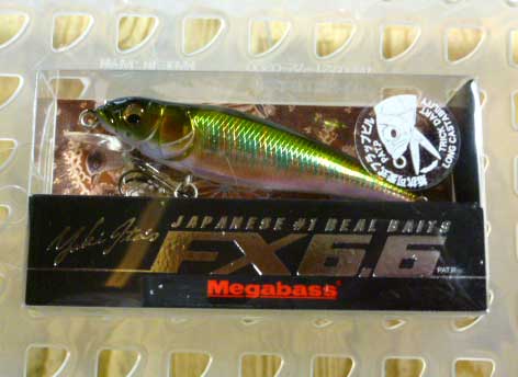 FX6.6 Wagin Oikawa Male FX6.6 Wagin Oikawa Male