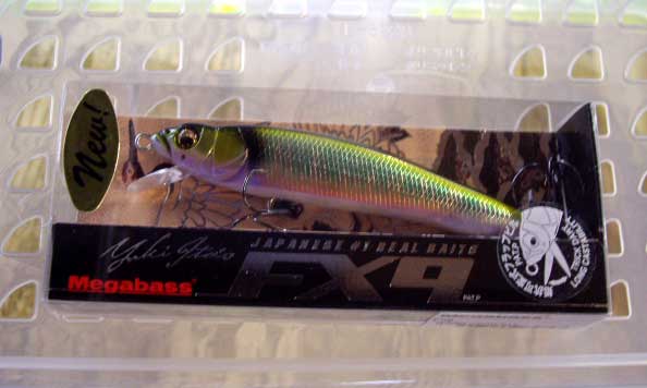 FX9 Wagin Oikawa Male FX9 Wagin Oikawa Male