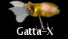 GATTA-X BUGGY