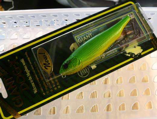GIANT DOG-X GREEN RAT SNAKE GIANT DOG-X GREEN RAT SNAKE