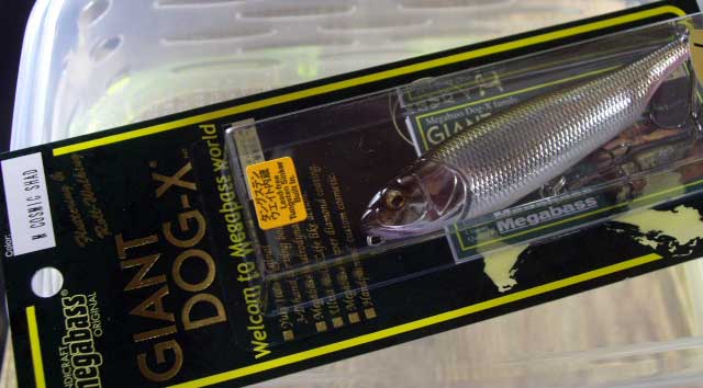 GIANT DOG-X M COSMIC SHAD GIANT DOG-X M COSMIC SHAD