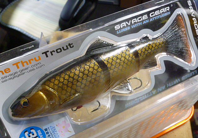 3D Line Thru Trout 20cm/93g Slow Sinking Carp 3D Line Thru Trout 20cm/93g Slow Sinking Carp