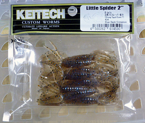 Little Spider 2inch 434:Blue Back Cinnamon - Click Image to Close