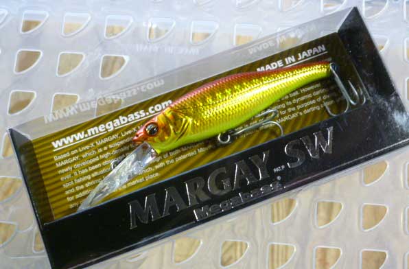 LIVE-X MARGAY SW GG Akakin LIVE-X MARGAY SW GG Akakin