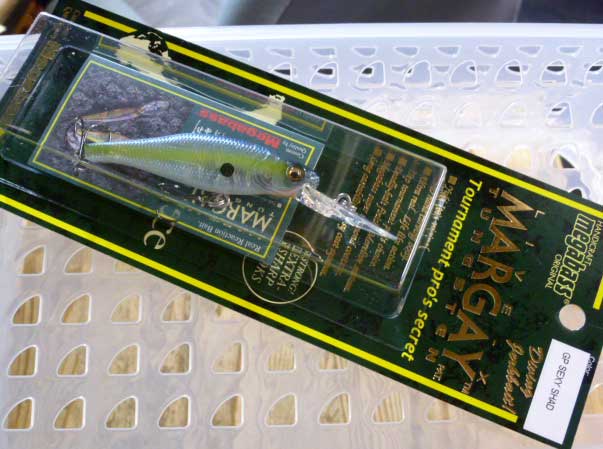 LIVE-X MARGAY GP SEXY SHAD LIVE-X MARGAY GP SEXY SHAD
