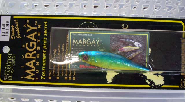 LIVE-X MARGAY BLUE BACK CHART CANDY LIVE-X MARGAY BLUE BACK CHART CANDY