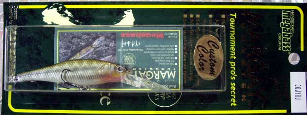 LIVE-X MARGAY DOJYOU LIVE-X MARGAY DOJYOU
