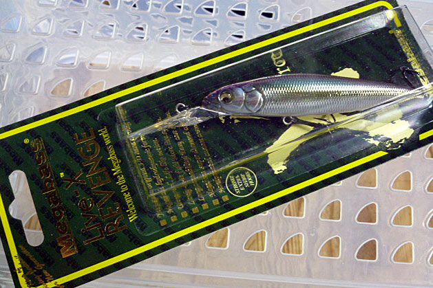 LIVE-X REVENGE M Moroko LIVE-X REVENGE M Moroko