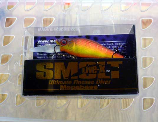 LIVE-X SMOLT AKA-TORA LIVE-X SMOLT AKA-TORA