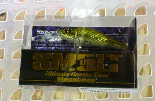 LIVE-X SMOLT GG BASS LIVE-X SMOLT GG BASS
