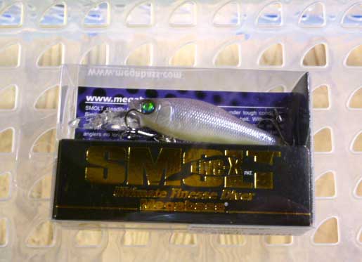 LIVE-X SMOLT GP ECHALOTE LIVE-X SMOLT GP ECHALOTE