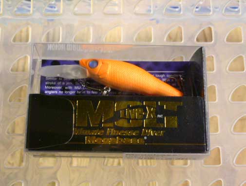 LIVE-X SMOLT GOTSU-ORE LIVE-X SMOLT GOTSU-ORE