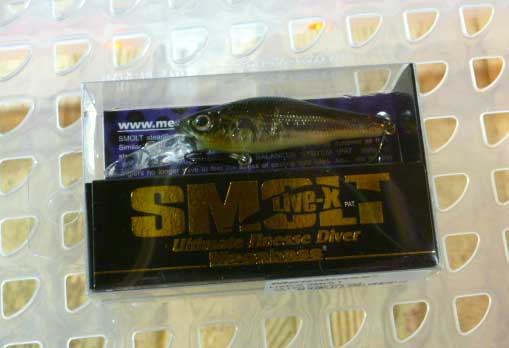 LIVE-X SMOLT Killer Kawaguchi LIVE-X SMOLT Killer Kawaguchi