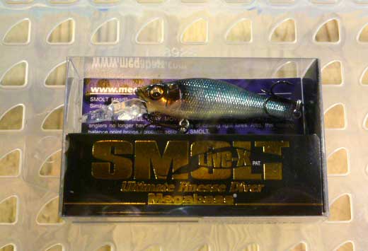 LIVE-X SMOLT M BLUE BACK OIKAWA LIVE-X SMOLT M BLUE BACK OIKAWA