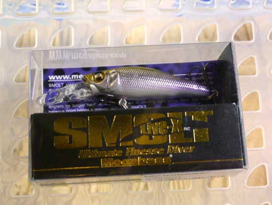 LIVE-X SMOLT M Wakasagi LIVE-X SMOLT M Wakasagi