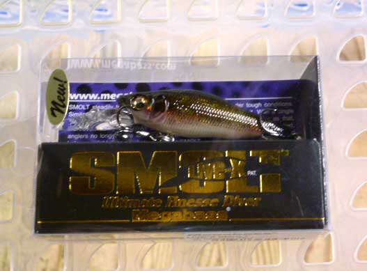 LIVE-X SMOLT SF Kawamustu LIVE-X SMOLT SF Kawamustu