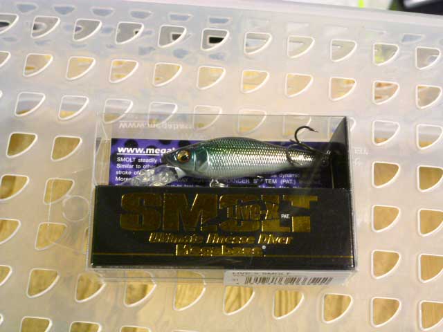 LIVE-X SMOLT Wagin Honmoroko LIVE-X SMOLT Wagin Honmoroko