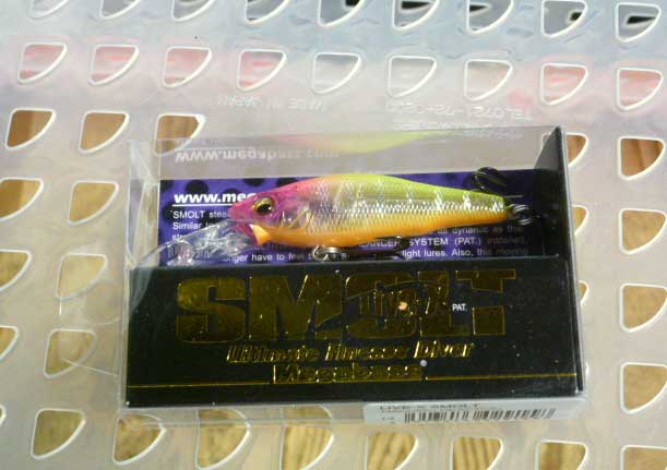 LIVE-X SMOLT HACHIRO REACTION LIVE-X SMOLT HACHIRO REACTION