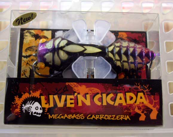 Live'n CICADA AGEHA Live'n CICADA AGEHA