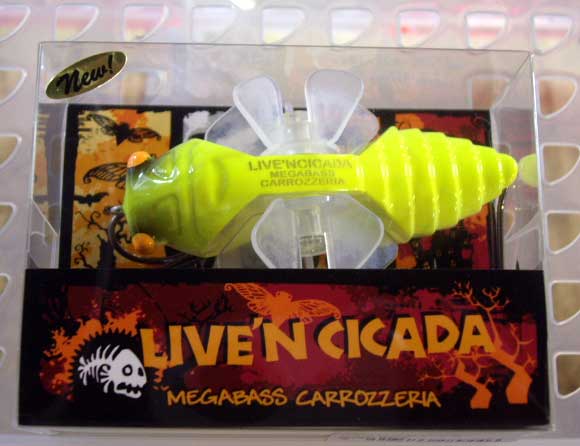 Live'n CICADA CHART BACK Live'n CICADA CHART BACK