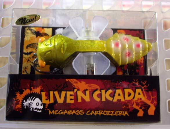 Live'n CICADA SUNSET BOMBER Live'n CICADA SUNSET BOMBER