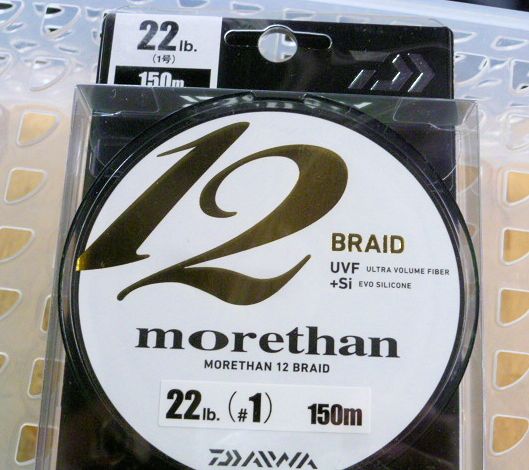 morethan 12 Braid PE 22Lbs [150m]