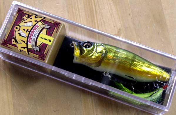 POP-MAX GG PEACOCK POP-MAX GG PEACOCK