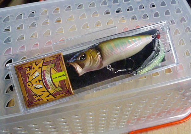POP-MAX Hakusei Oikawa POP-MAX Hakusei Oikawa