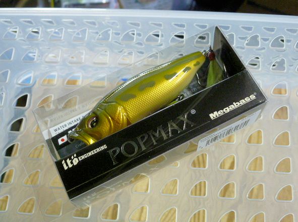 POP-MAX TONOSAMA FROG POP-MAX TONOSAMA FROG