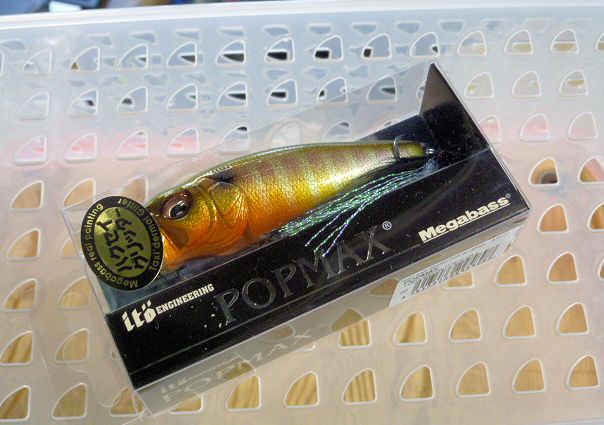 POP-MAX Hakusei Glitter Gill POP-MAX Hakusei Glitter Gill