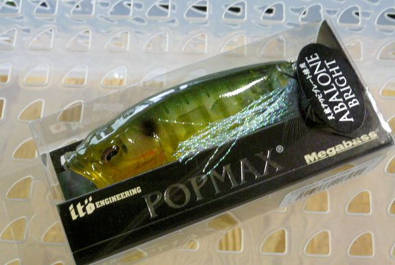 POP-MAX ABALONE AB Gill POP-MAX ABALONE AB Gill
