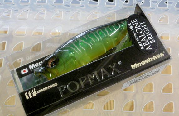 POP-MAX ABALONE AB Hot Tiger POP-MAX ABALONE AB Hot Tiger